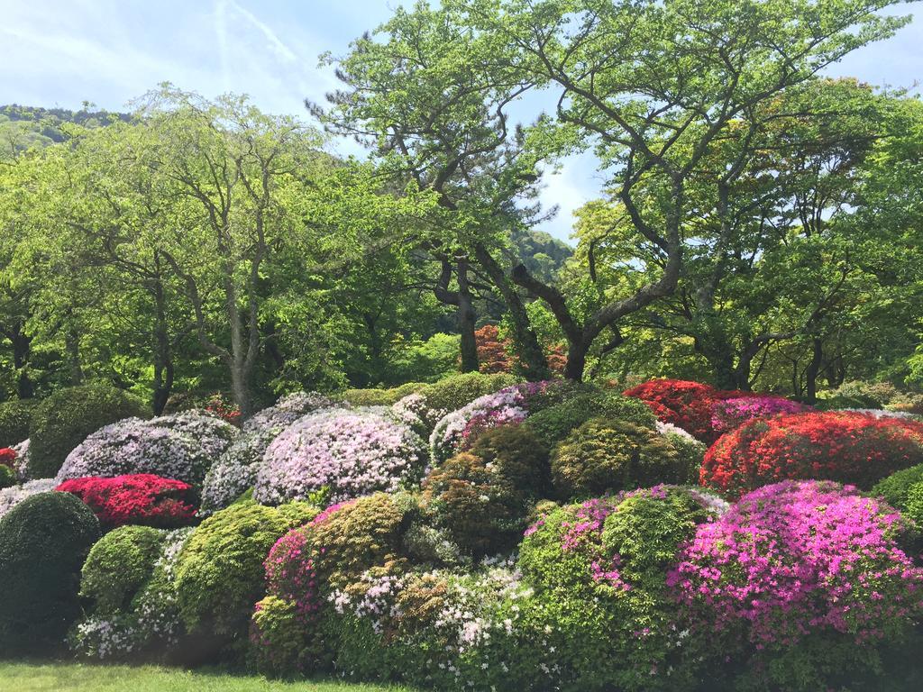 Hakone Kowakien Miyamafurin Exterior foto