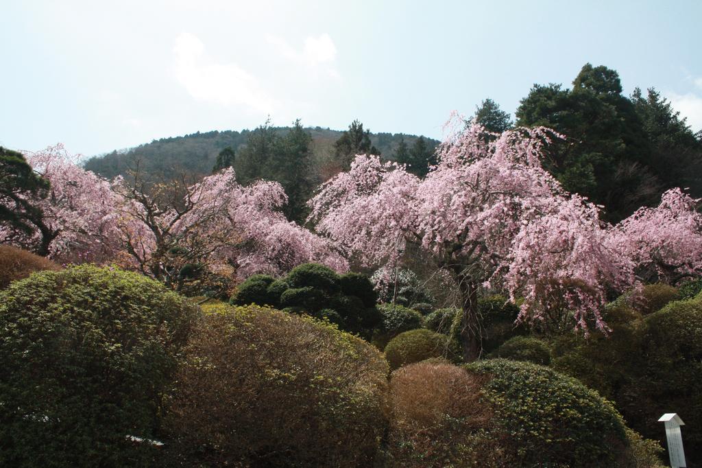 Hakone Kowakien Miyamafurin Exterior foto